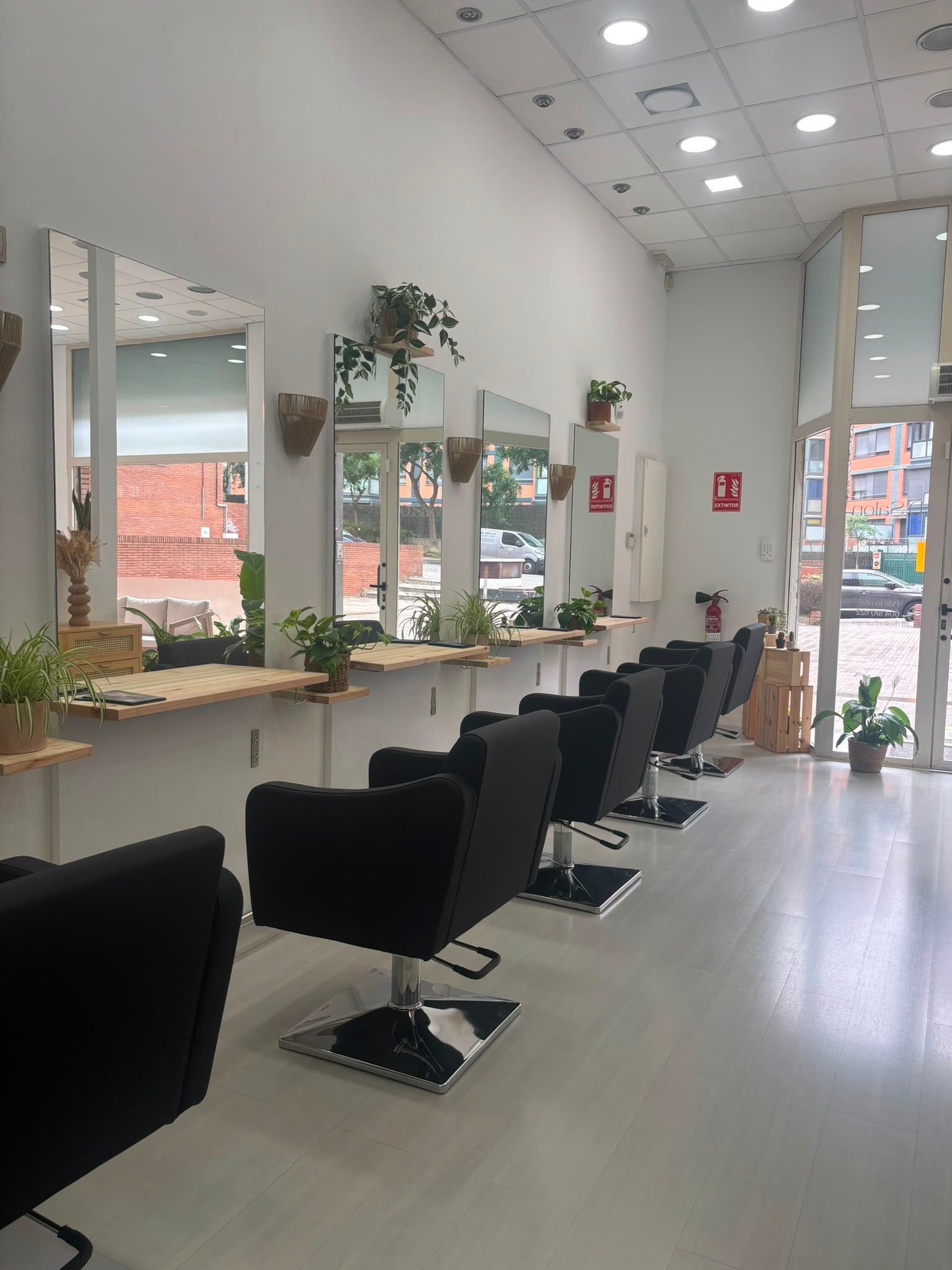 Interior del salón D.Salón Hair & Spa